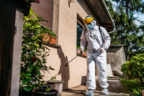 Pest Control for Restaurants in Girardville, PA