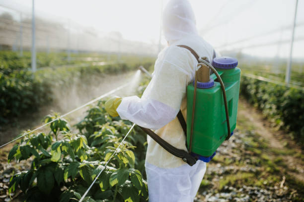 Best Affordable Pest Control Services  in Girardville, PA
